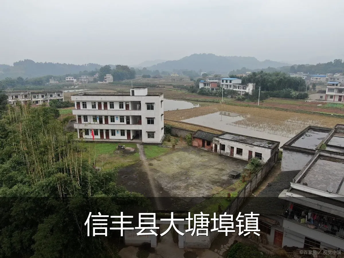 信丰县大塘埠镇