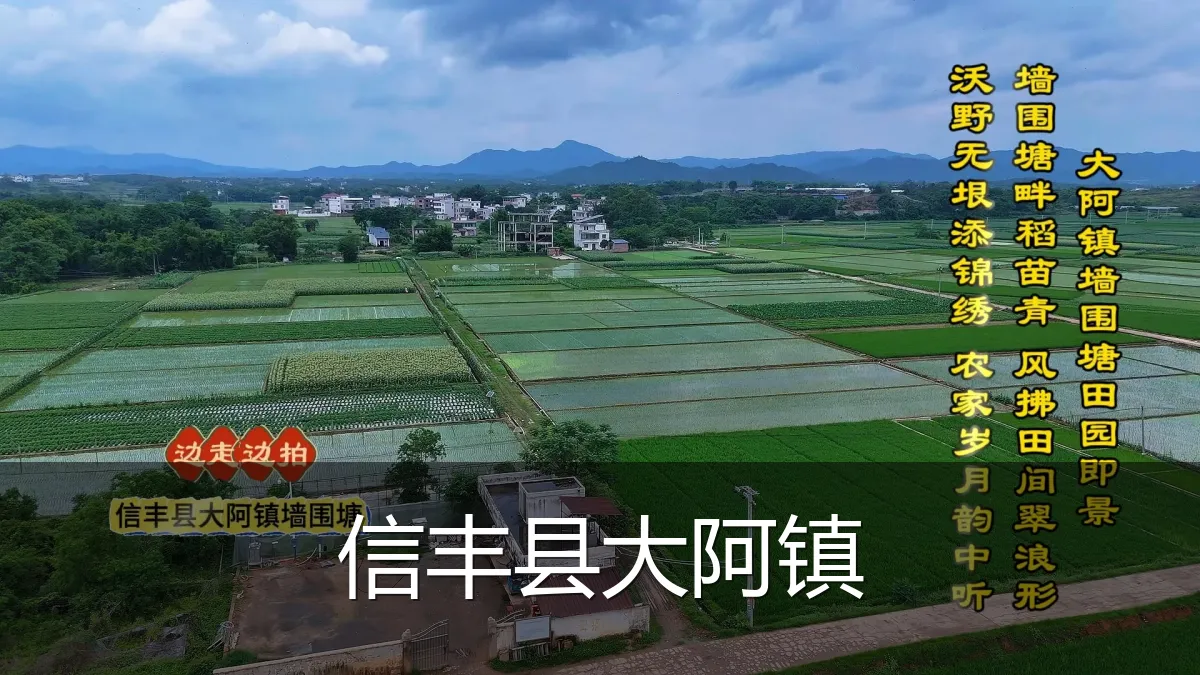 信丰县大阿镇